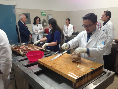 Training Centre Mexican Academy of Neurology