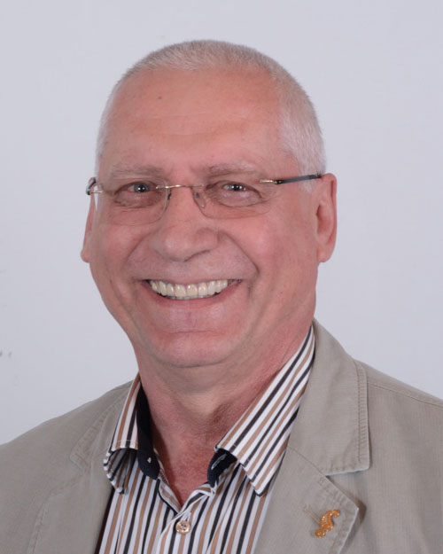 Prof. Valery L. Feigin