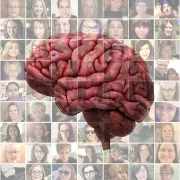 WBD Webinar Poster
