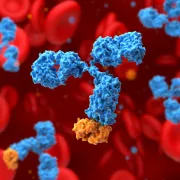 IStock 2239900173 Monoclonal Antibody