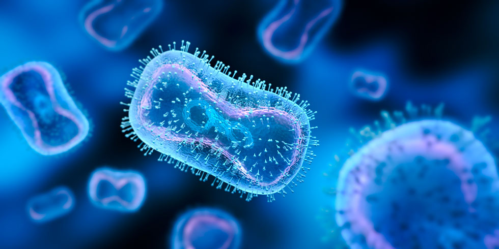 Since early May 2022, cases of monkeypox have been reported in countries where the disease is not endemic. and continue to be reported in several endemic countries.