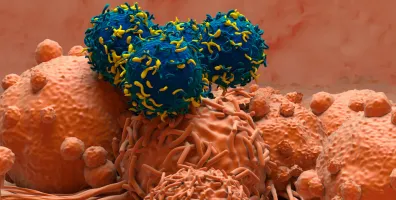 IStock 2158381942 TCell Therapy