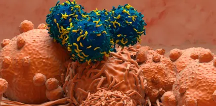 IStock 2158381942 TCell Therapy