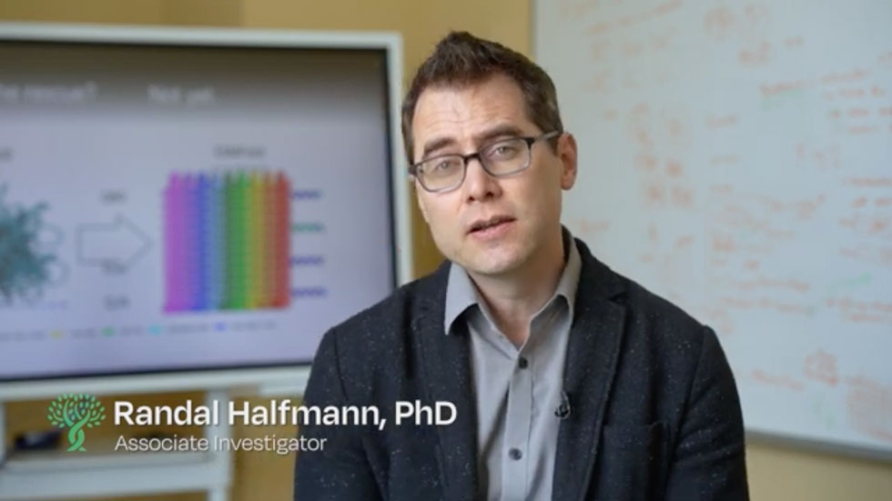 Scientists at the Stowers Institute for Medical Research have uncovered the structure of the first step in amyloid formation, called the nucleus, for Huntington’s disease