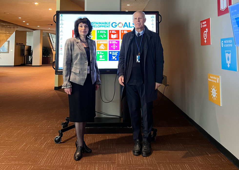 Alla Guekht and Wolfgang Grisold New York UN ECOSOC meeting