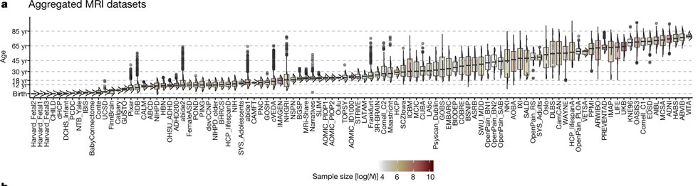MRI data were aggregated from over 100 primary studies comprising 123,984 scans that collectively spanned the age range from mid-gestation to 100 postnatal years.