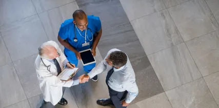 iStock 667835162 visiting fellowship