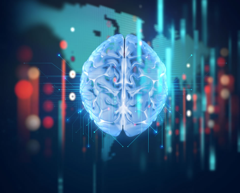 Neurology atlas