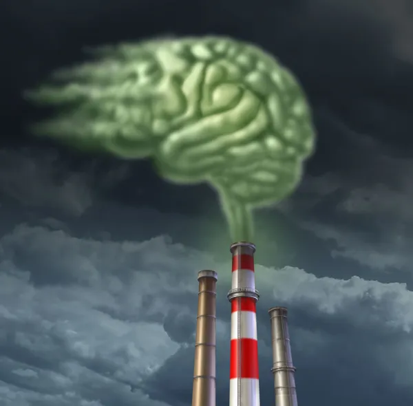 Brain Pollution