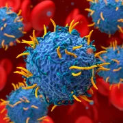 IStock 2243155532 CarTCells