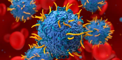 IStock 2243155532 CarTCells