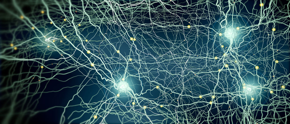 iStock 1185243635 neurons