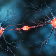 iStock 2150570035 neuron synapse