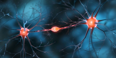 iStock 2150570035 neuron synapse