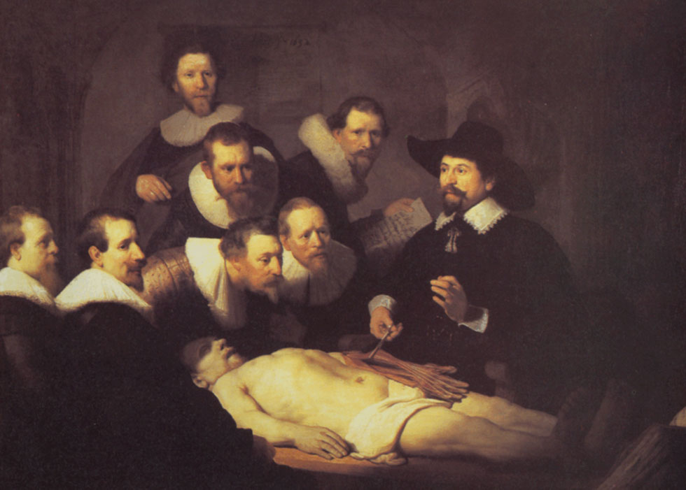 The Anatomy Lesson Of Dr Nicolaes