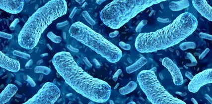 IStock 2180572769  Listeriosis