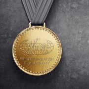 iStock 1022182262 WFN Medals