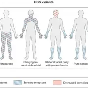 JNS Editors Choice Autoimmune Neuropathies