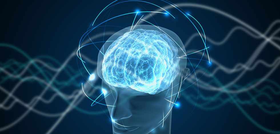 Biomedical engineers at Duke University have developed a method to scan and image the blood flow and oxygen levels inside a mouse brain in real-time with enough resolution to view the activity of both individual vessels and the entire brain at once.