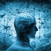 iStock 692684668 neurology