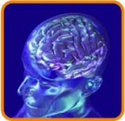 wbd-blocks-2.png