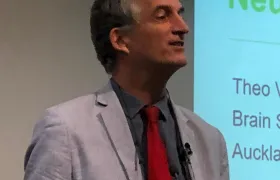 GBD Brain Summit 2018 11 28 at 11