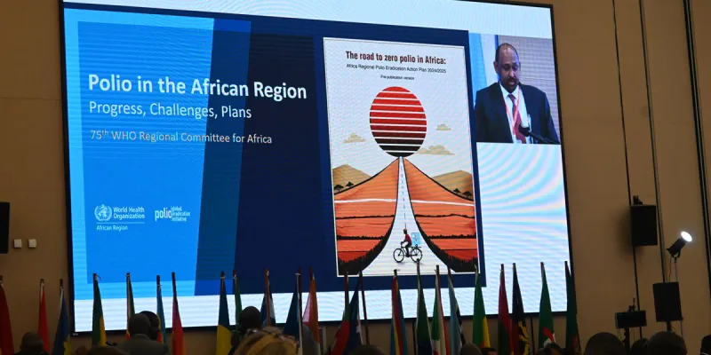 Africa WHO Meeting Auust 2025 Pic4