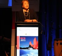 WCN2015 IMG 8821