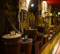 WCN2019 DESERT EVENING 20191029 009 WEB